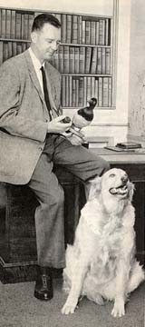 Alfred V. Burkley