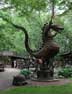 Jurustic Park