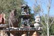 Sunnyslope Rock Garden
