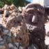 Sunnyslope Rock Garden