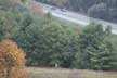 Taconic Sculpture Park