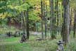 Taconic Sculpture Park