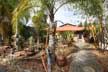 Whimzeyland